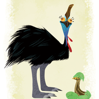 Cassowaries Print - Thumbnail 1
