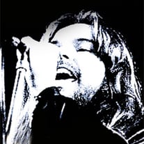 BOB SEGER Capitol Center, Largo, MD 1980 dvd