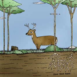 Rubrics "sow your seeds" 7" (sidejar)