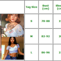 Angel Print Vintage Sheer Mesh Top - Thumbnail 4