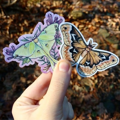 Moth Sticker Pack