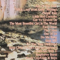 PRINCE AT JONES BEACH,NY 7.23.1997 DVD - Thumbnail 1