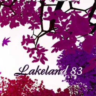 Prince & the time live at the civic, in lakeland, fl 02.01.1983 dvd