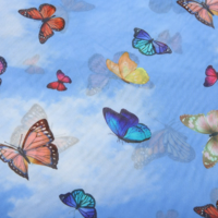 BUTTERFLY BLUE MESH TOP - Thumbnail 4