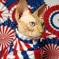 Star Spangled Banner - Thumbnail 1