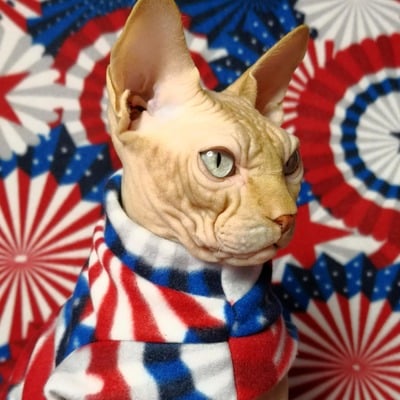 Star spangled banner - Thumbnail 4