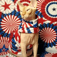 Star Spangled Banner - Thumbnail 1