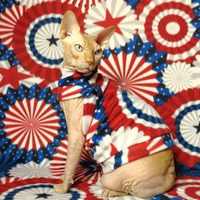 Star Spangled Banner - Thumbnail 2