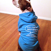 MONSTER DOGGIE HOODIE - Thumbnail 2