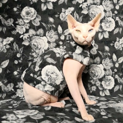 Gargoyles - man ray - Thumbnail 5