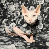 Gargoyles - Man Ray - Thumbnail 1