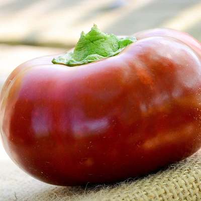 Bulgarian giant cherry stuffing and pickling pepper premium seed packet + more