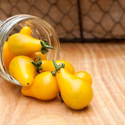 Yellow pear heirloom tomato premium seed packet