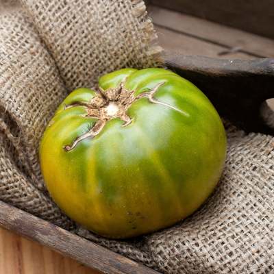 Aunt rubys german green heirloom tomato premium seed packet