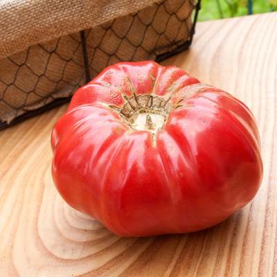 Pink brandywine sudduths strain beefsteak heirloom tomato premium seed packet