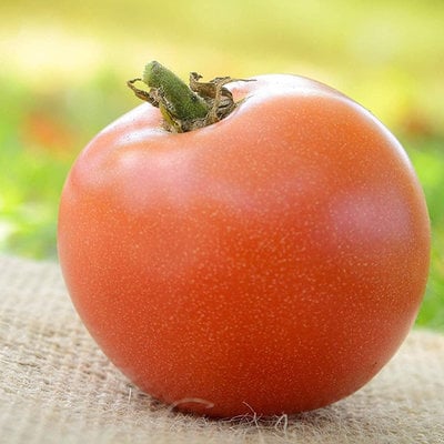 Moskvich russian heirloom tomato premium seed packet