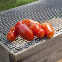 Baby San Marzano Heirloom Tomato Premium Seed Packet - Thumbnail 1