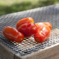 Baby San Marzano Heirloom Tomato Premium Seed Packet - Thumbnail 2