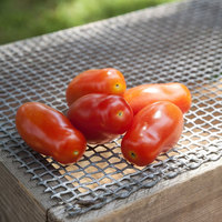 Baby San Marzano Heirloom Tomato Premium Seed Packet - Thumbnail 3