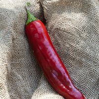 Big Jim Numex New Mexico Hot Pepper Premium Seed Packet - Thumbnail 1