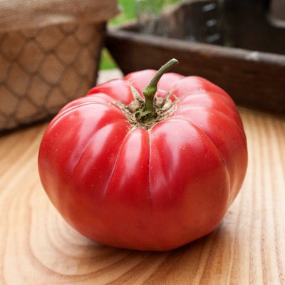 Caspian pink heirloom tomato premium seed packet