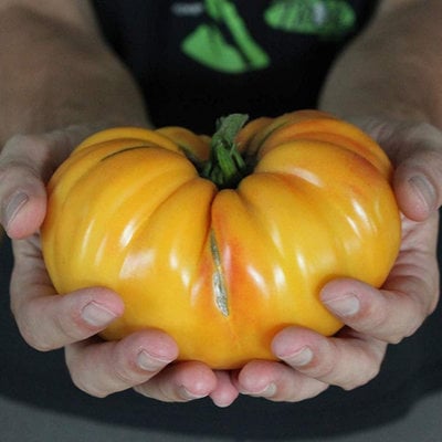 Hillbilly heirloom tomato premium seed packet