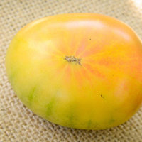 Hillbilly Heirloom Tomato Premium Seed Packet - Thumbnail 1