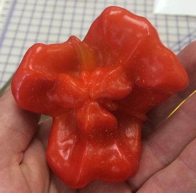 Bishops Crown Peri Peri Chile Heirloom Pepper Premium Seed Packet