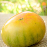 Hillbilly Heirloom Tomato Premium Seed Packet - Thumbnail 2