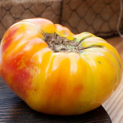 Hawaiian pineapple heirloom tomato premium seed packet
