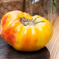 Hawaiian Pineapple Heirloom Tomato Premium Seed Packet - Thumbnail 2