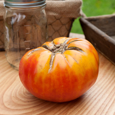 Walters candy stripes heirloom tomato premium seed packet