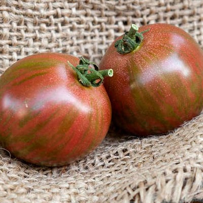 Purple bumblebee heirloom tomato premium seed packet