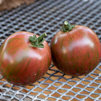 Purple Bumblebee Heirloom Tomato Premium Seed Packet - Thumbnail 1