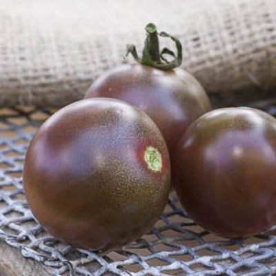Black cherry heirloom tomato premium seed packet