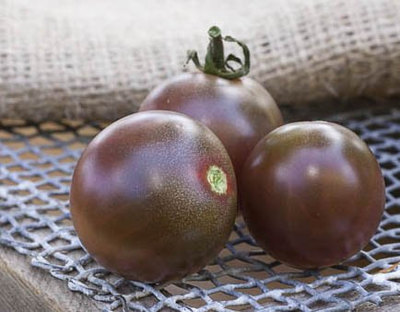 Black Cherry Heirloom Tomato Premium Seed Packet