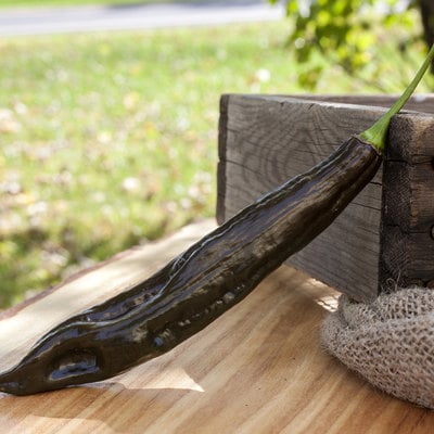 Aji panca peruvian chili heirloom pepper premium seed packet