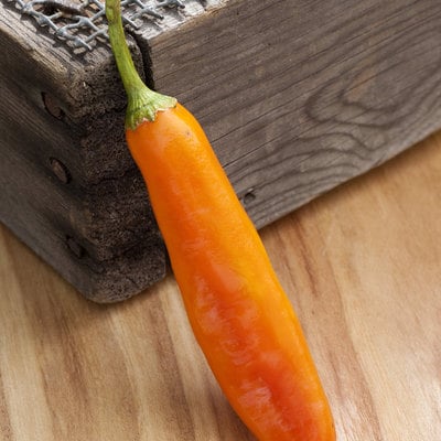 Aji amarillo chile rojo heirloom pepper premium seed packet