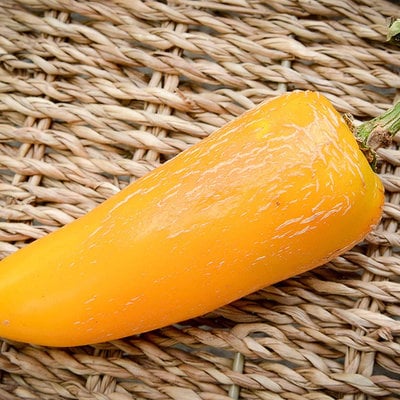 Giant yellow jalapeno pepper premium seed packet + more