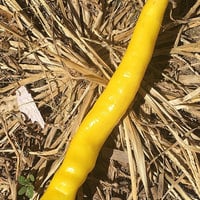 Sarit Gat Pepper Premium Seed Packet - Thumbnail 1