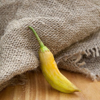 White wax heirloom pepper premium seed packet
