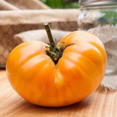 Amana heirloom tomato premium seed packet