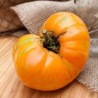 Amana Heirloom Tomato Premium Seed Packet - Thumbnail 1