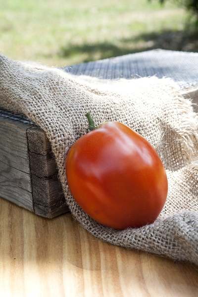 Amish Paste Sauce Heirloom Tomato Premium Seed Packet