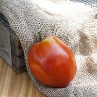 Amish Paste Sauce Heirloom Tomato Premium Seed Packet - Thumbnail 1