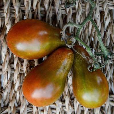 Chocolate pear heirloom tomato premium seed packet