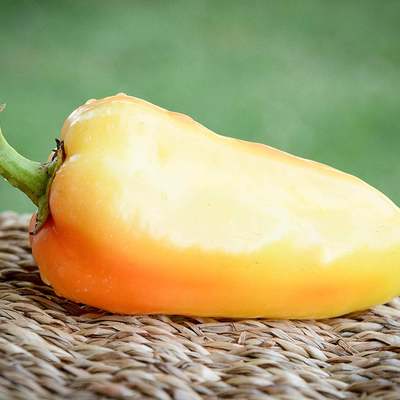 Ferenc tender paprika heirloom pepper premium seed packet