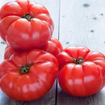 Silver fir tree heirloom tomato premium seed packet