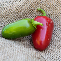 Huge Jalmundo Jalapeno Pepper Premium Seed Packet  Perfect for poppers - Thumbnail 2