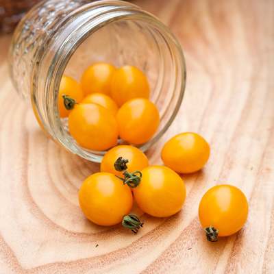 Yellow blondkopfchen current sized heirloom tomato premium seed packet